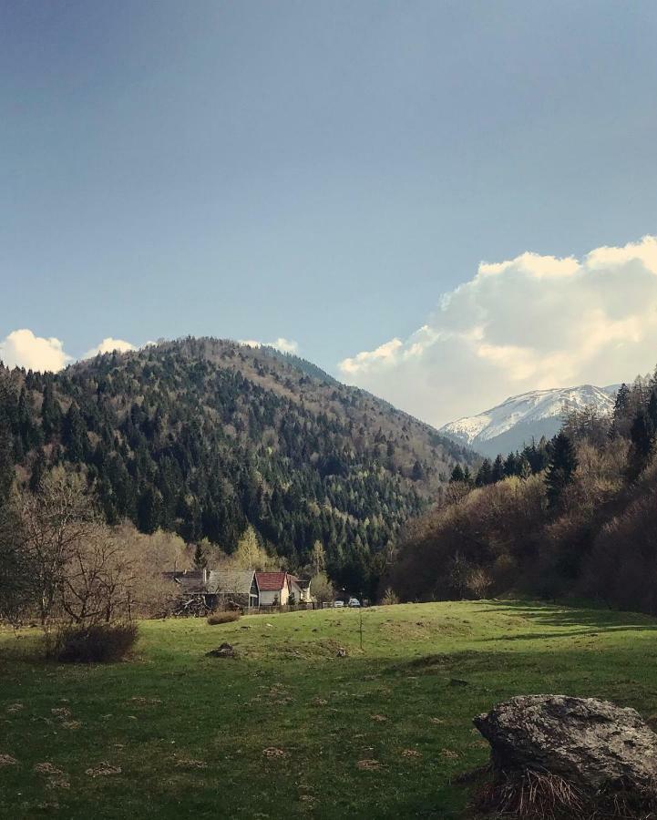 Cabana Sapte Breaza  Bagian luar foto
